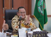 Bupati Muba Dodi Reza Pukau Dewan Juri di Event Pemilihan Kepala Daerah Inovatif 2020