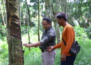 Dari Petani Karet Muba Untuk Sumatera Hingga Ketahanan Indonesia