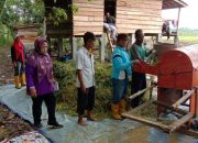 Berkat Program Serasi, Hasil Tani di Muba Meningkat