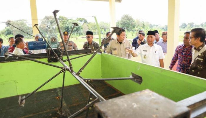 Musi Banyuasin Miliki Lumbung Pangan di Kecamatan Sanga Desa